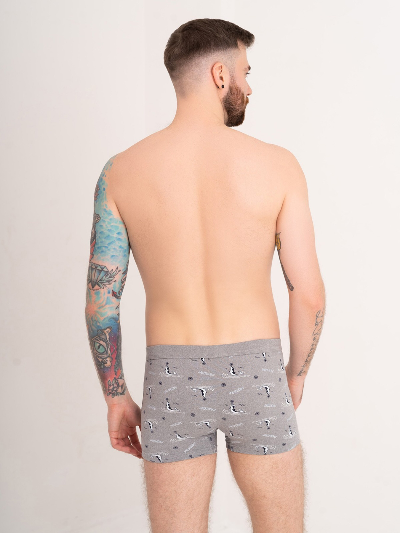 Нижнее белье ISSA Plus модель GN5-180_grey Фото