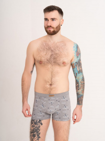 Нижнее белье ISSA Plus модель GN5-180_grey Фото