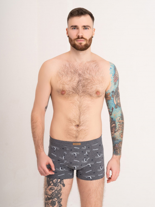 Нижнее белье ISSA Plus модель GN5-180_darkgray Фото
