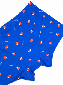Нижнее белье ISSA Plus модель GN5-183_blue Фото