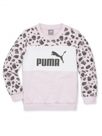 Худи и свитшоты PUMA модель 673347 Фото