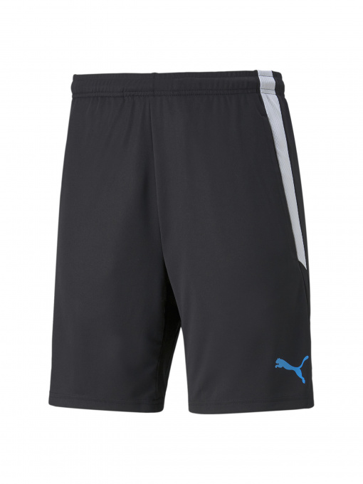 Шорты PUMA Teamliga Training Shorts 2 модель 657667 Фото