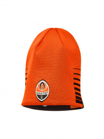 Шапки та кепки PUMA FCSD Reversible Beanie модель 023565 Фото