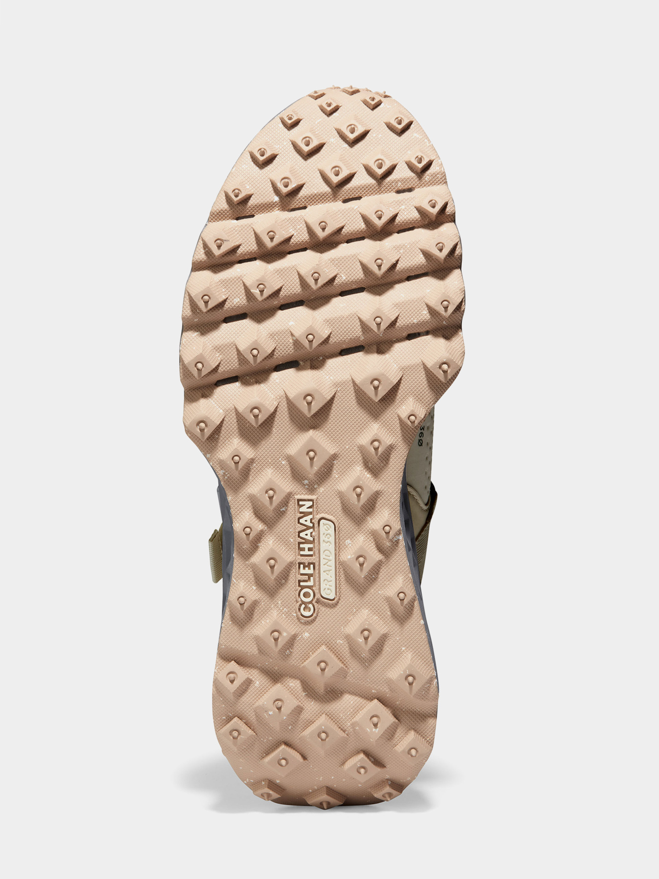 Кросівки Cole Haan модель C36598 Кросівки Cole Haan модель C36598 Фото