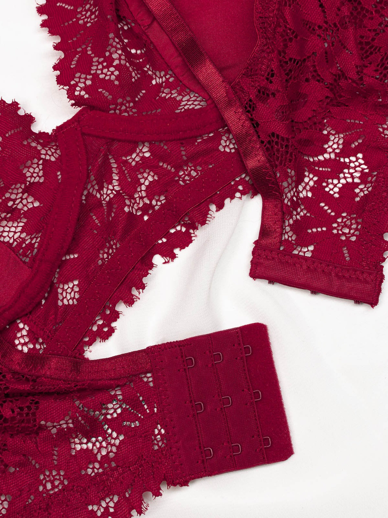 Нижня білизна ISSA Plus модель BL2-683_burgundy Фото