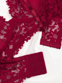 Нижня білизна ISSA Plus модель BL2-683_burgundy Фото
