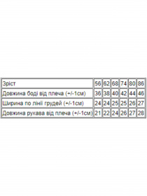 Боди для младенцев Носи своє 5010-015-5 модель 5010-015-5-blij Фото