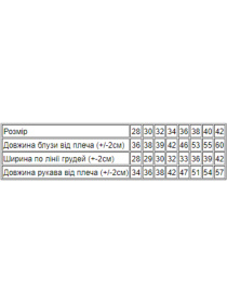 Сорочки Носи своє модель 9267-036-33-sinj Фото