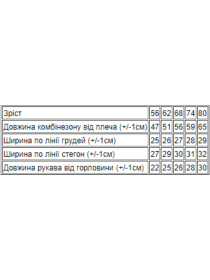 Одежда для младенцев Носи своє модель 9872-002-4-mashinka-mentol Фото