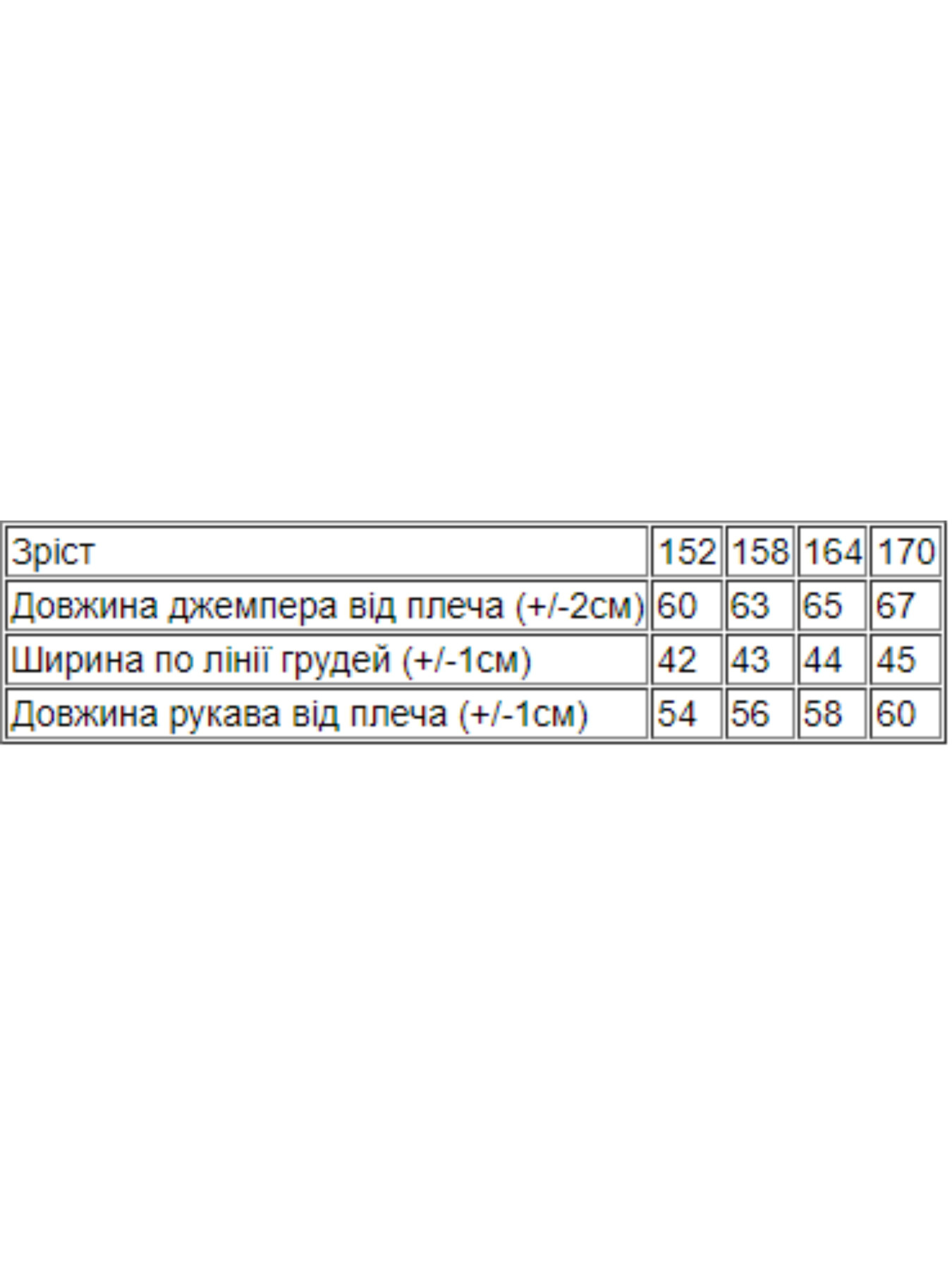 Худі та світшоти Носи своє модель 6029-055-33-4-nadpisi-fstashkovij Худі та світшоти Носи своє модель 6029-055-33-4-nadpisi-fstashkovij Фото