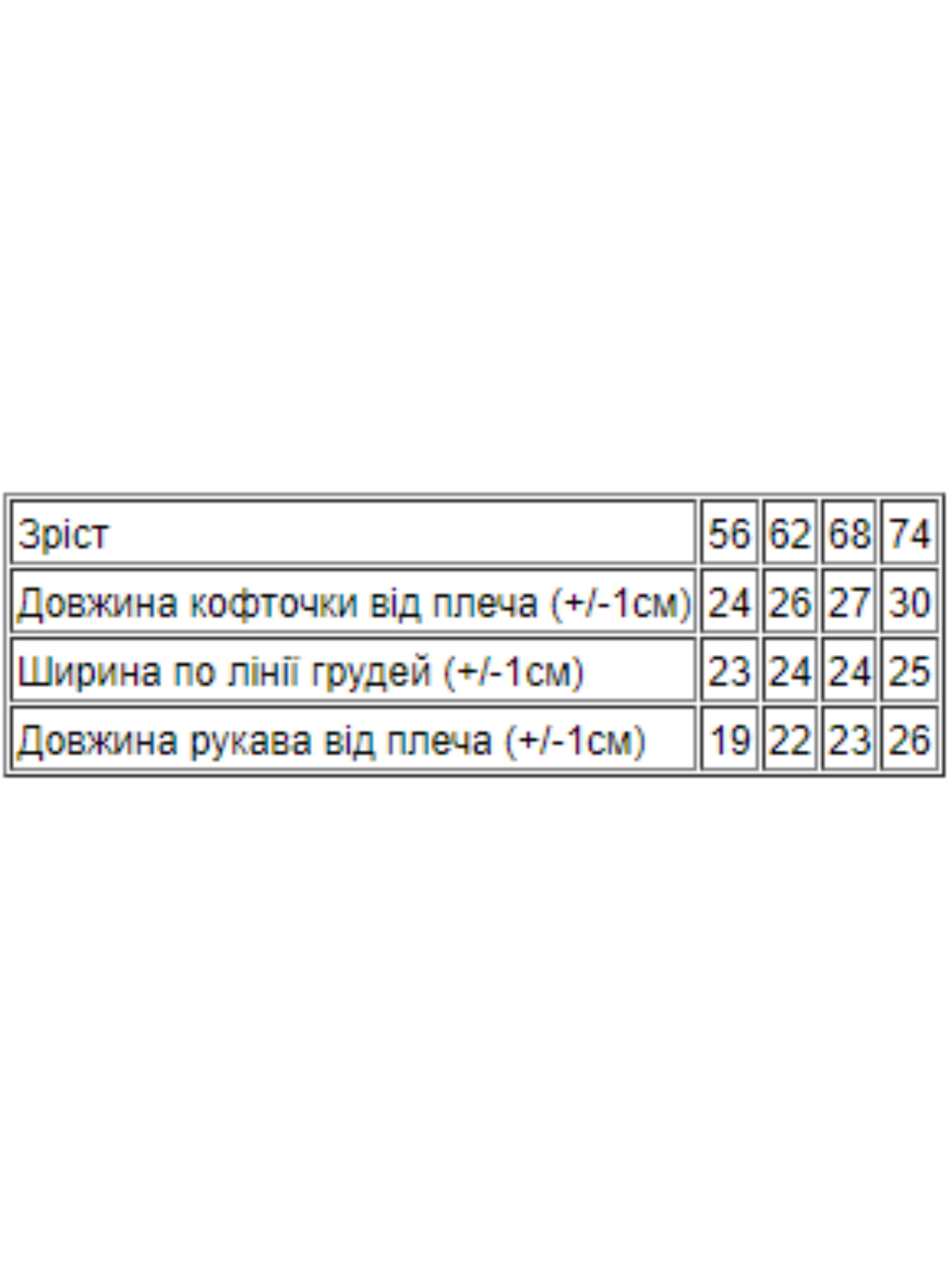 Худи и свитшоты Носи своє модель 5036-002-mentol Худи и свитшоты Носи своє модель 5036-002-mentol Фото