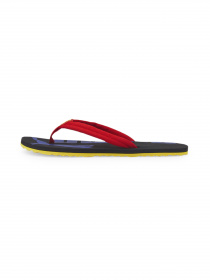 Шльопанці PUMA Epic Flip v2 модель 360248 Фото
