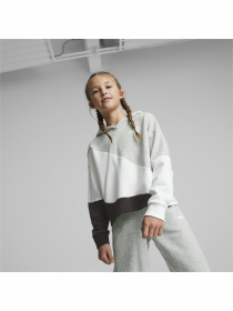 Худи и свитшоты PUMA Power Cat Hoodie Tr G модель 673548 Фото