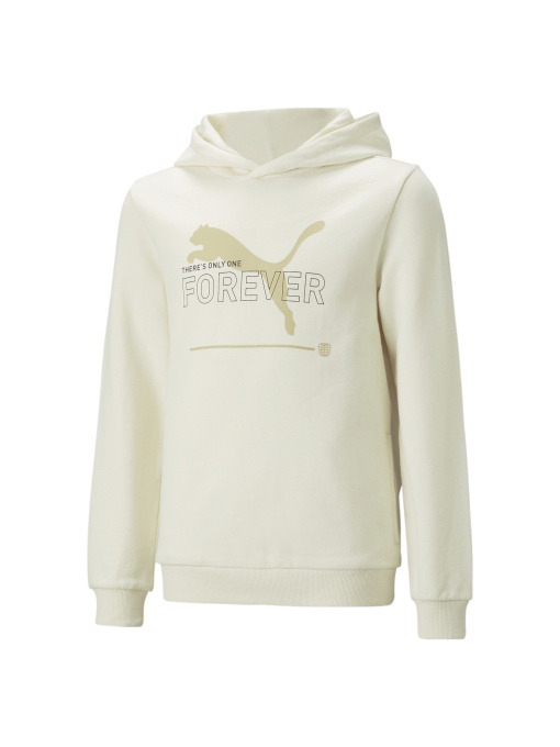 Худи и свитшоты PUMA Ess Better Hoodie модель 673659 Фото