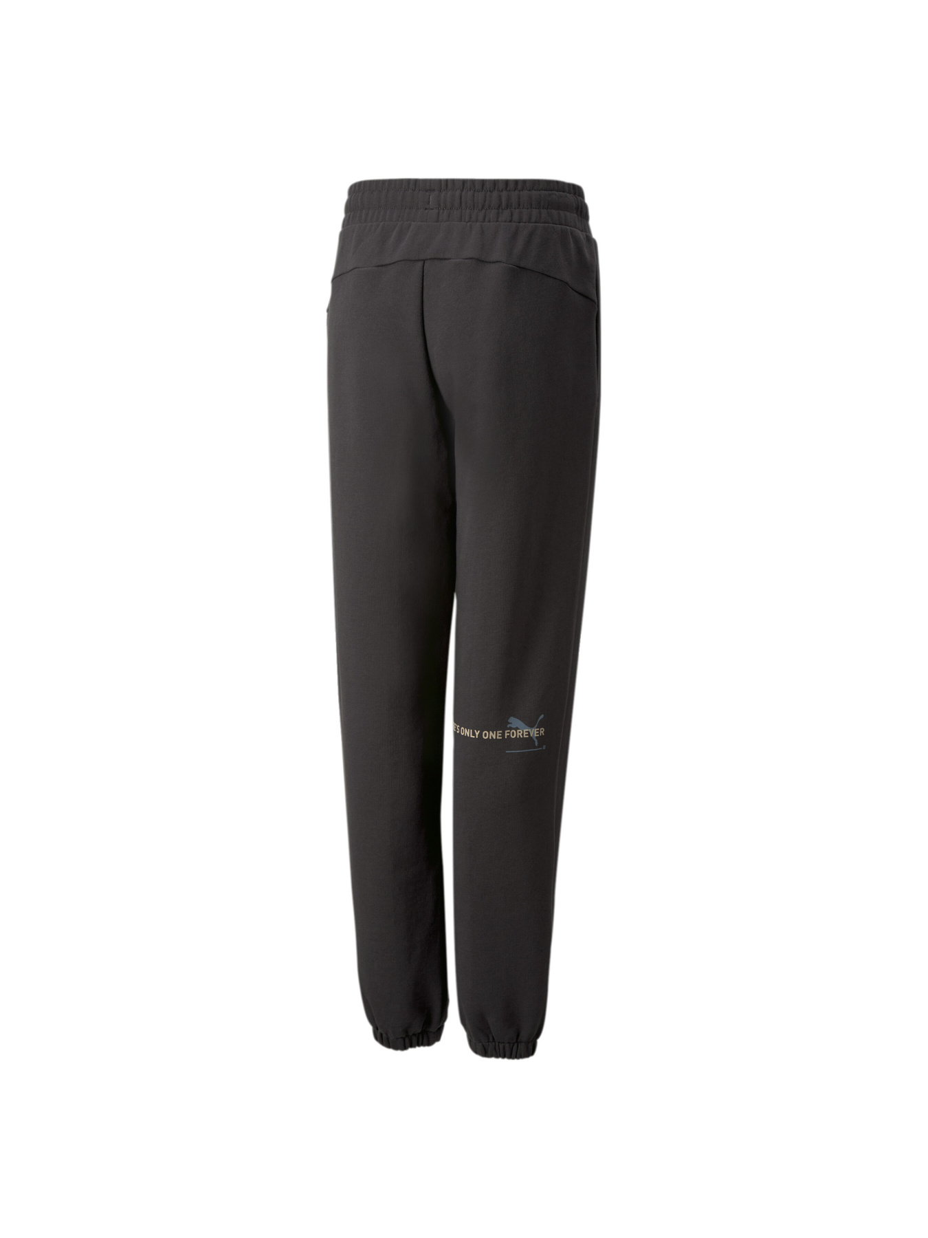 Брюки PUMA Ess Better Pants Tr Kids модель 673657 Фото
