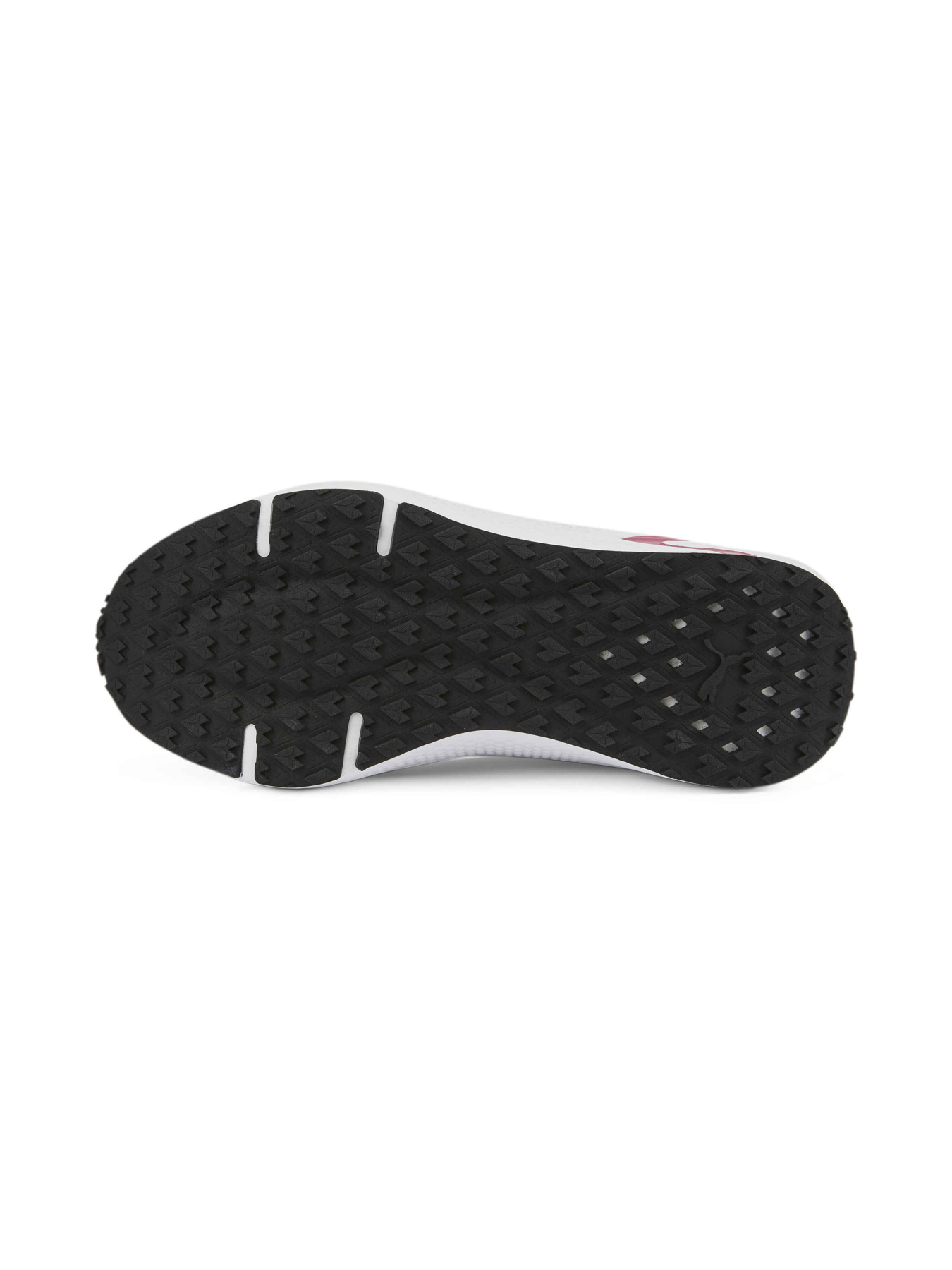 Кросівки PUMA Softride Pro Coast модель 377059 Фото