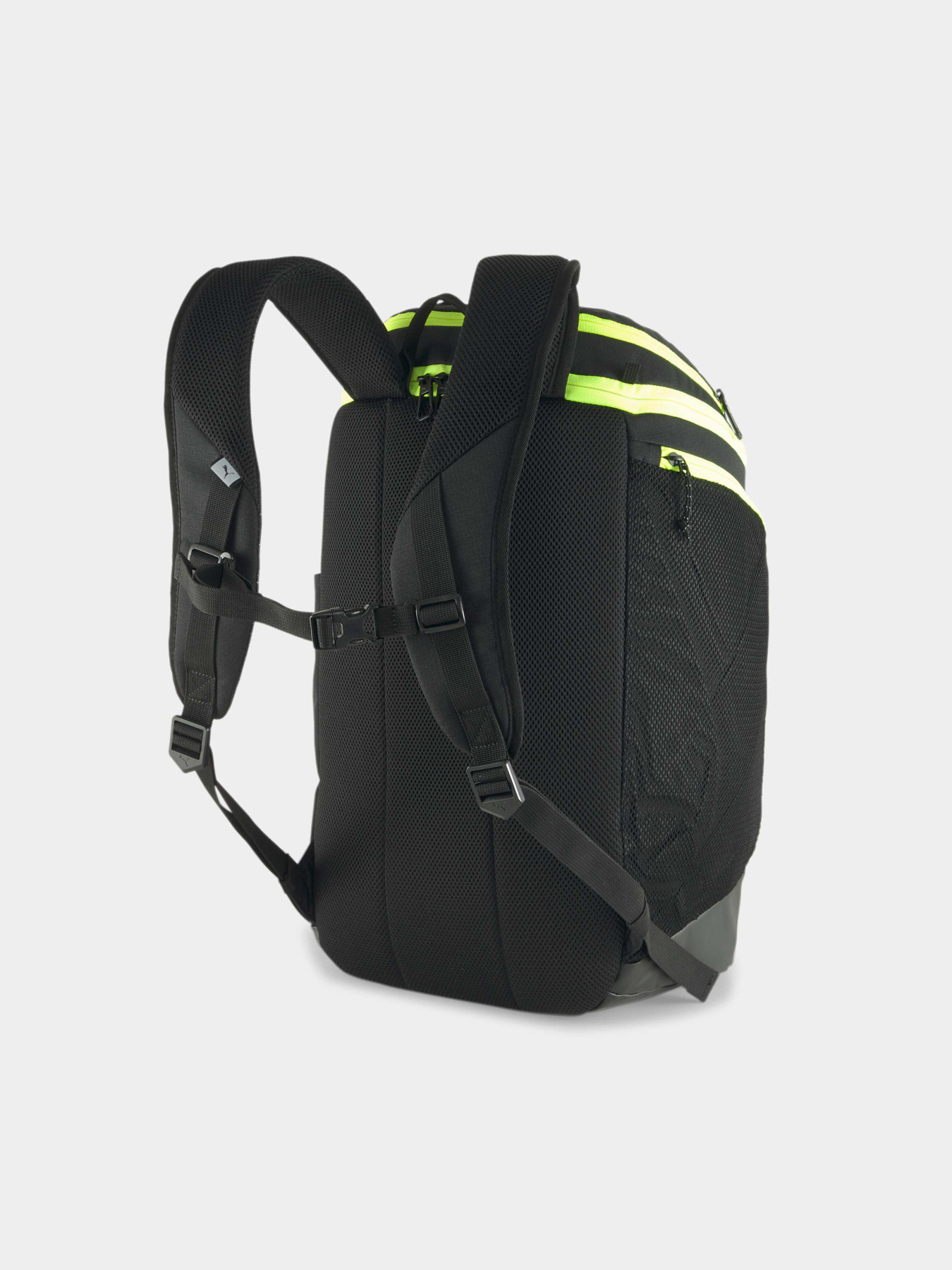 Рюкзаки PUMA Basketball Pro Backpack модель 079212 Рюкзаки PUMA Basketball Pro Backpack модель 079212 Фото
