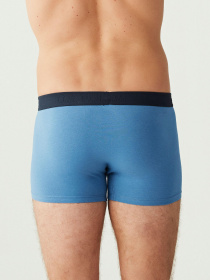 Нижнее белье US Polo модель US.01.80256.VR013 Фото