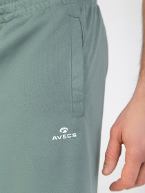 Шорты AVECS модель 30455-29 Фото