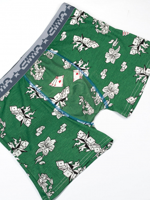 Нижнее белье ISSA Plus модель GN5-187_green Фото