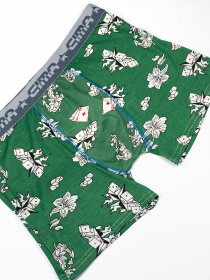 Нижня білизна ISSA Plus модель GN5-187_green Фото