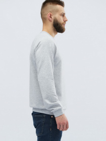 Худи и свитшоты CARICA модель 10814 Фото