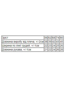 Одяг для немовлят Носи своє модель 5010-008-5-blij Фото
