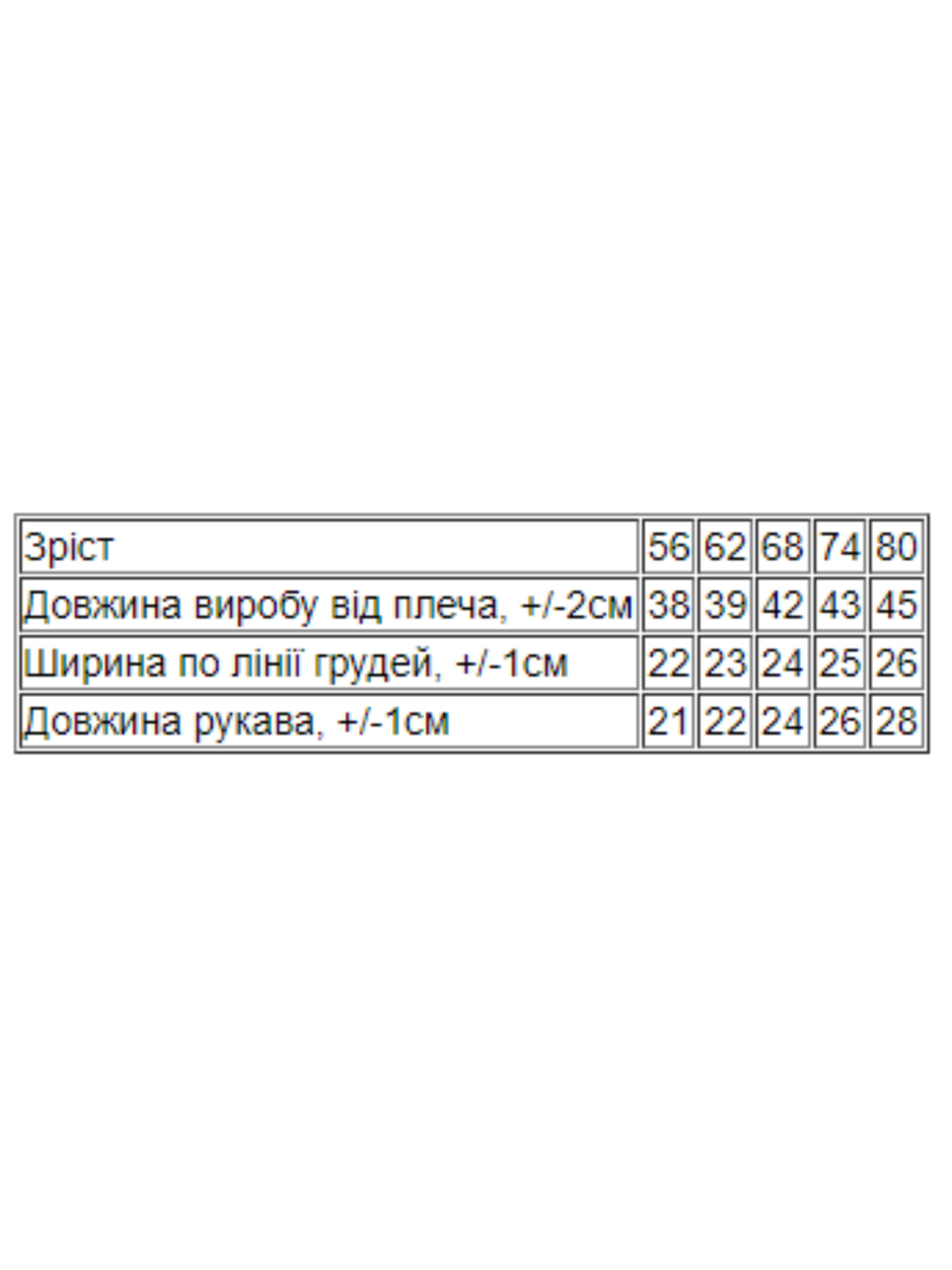 Одяг для немовлят Носи своє модель 5010-008-33-4-bryuzovij-vedmediki Фото