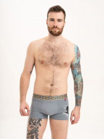 Нижнее белье ISSA Plus модель GN5-199_grey Фото
