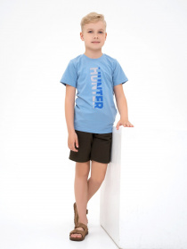Футболки и поло ISSA Plus модель GCD1-21_lightblue Фото