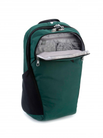 Рюкзаки Pacsafe Vibe 20 модель 60291502 Фото