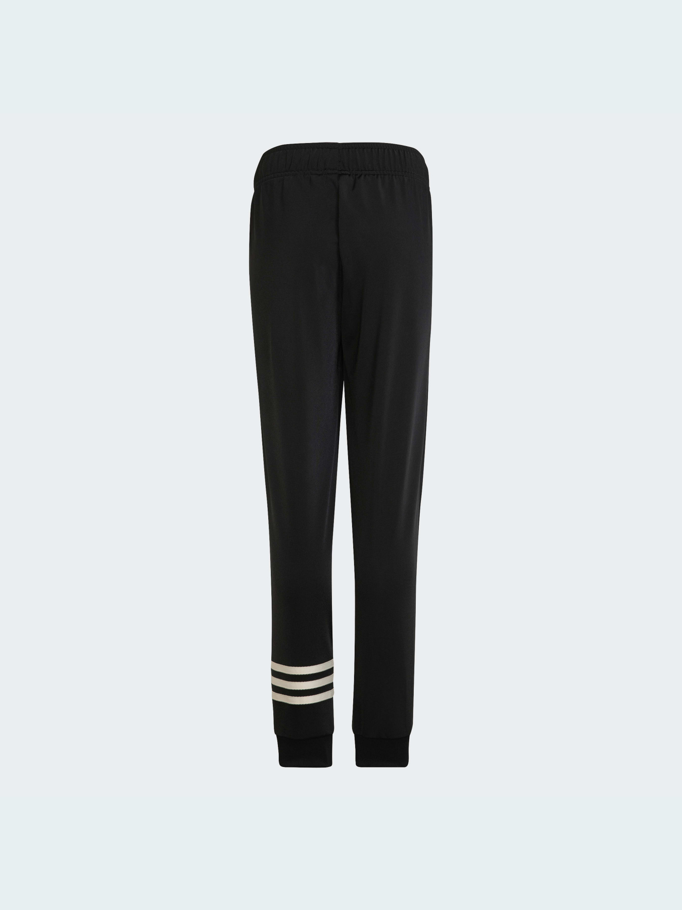 Штани Adidas Adicolor модель HK9695 Фото