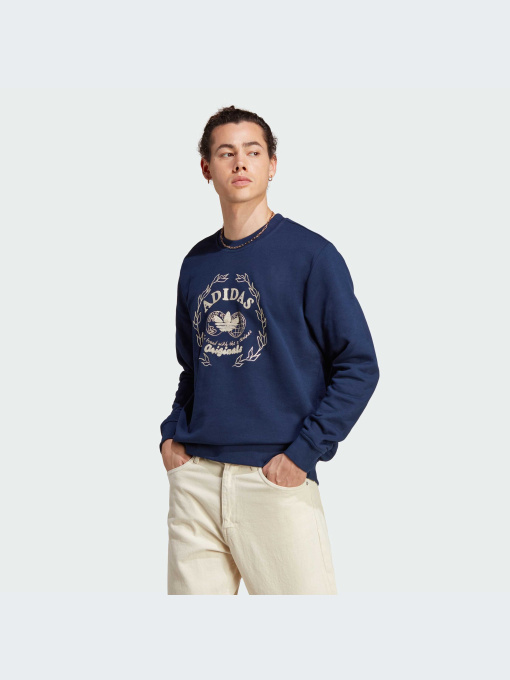 Худі та світшоти Adidas Graphics модель IC5769 Фото