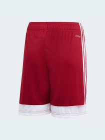 Шорты Adidas модель DP3685 Фото