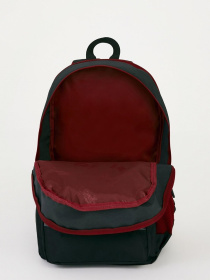 Рюкзаки US Polo модель PLCAN22020.VR046 Фото