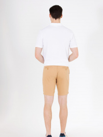 Шорты US Polo модель G081SZ031.000.1600253.VR015 Фото