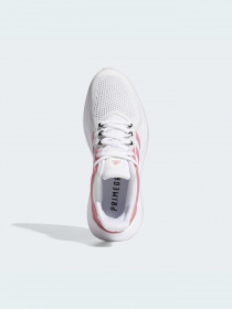 Кроссовки Adidas Alphatorsion модель GX5014 Фото