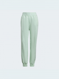 Брюки Adidas модель HG1329 Фото
