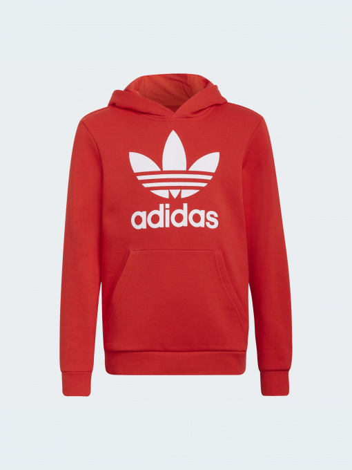 Худі та світшоти Adidas Adicolor модель HD2020 Фото
