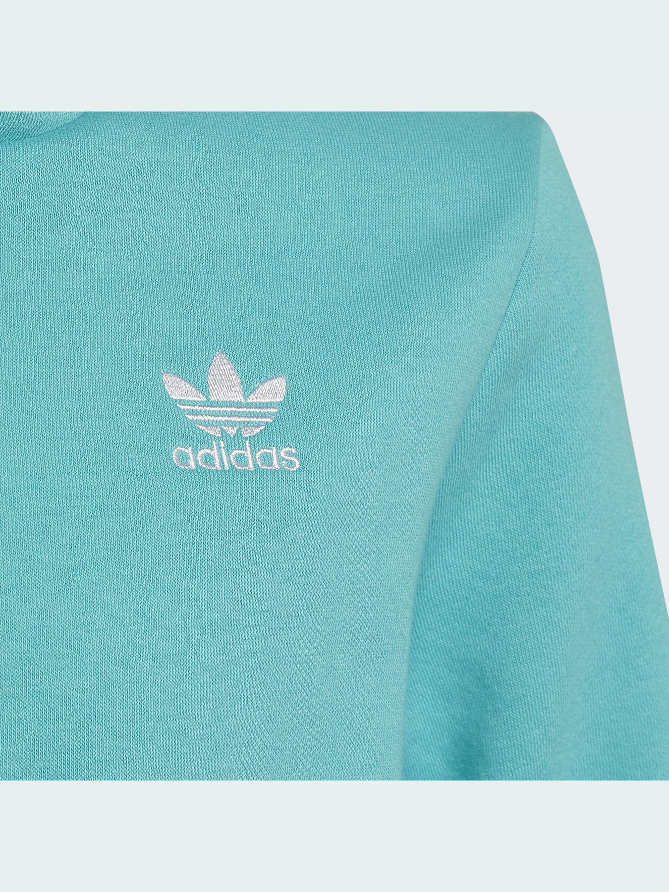 Худі та світшоти Adidas Adicolor модель HS8871 Худі та світшоти Adidas Adicolor модель HS8871 Фото
