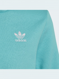 Худі та світшоти Adidas Adicolor модель HS8871 Фото