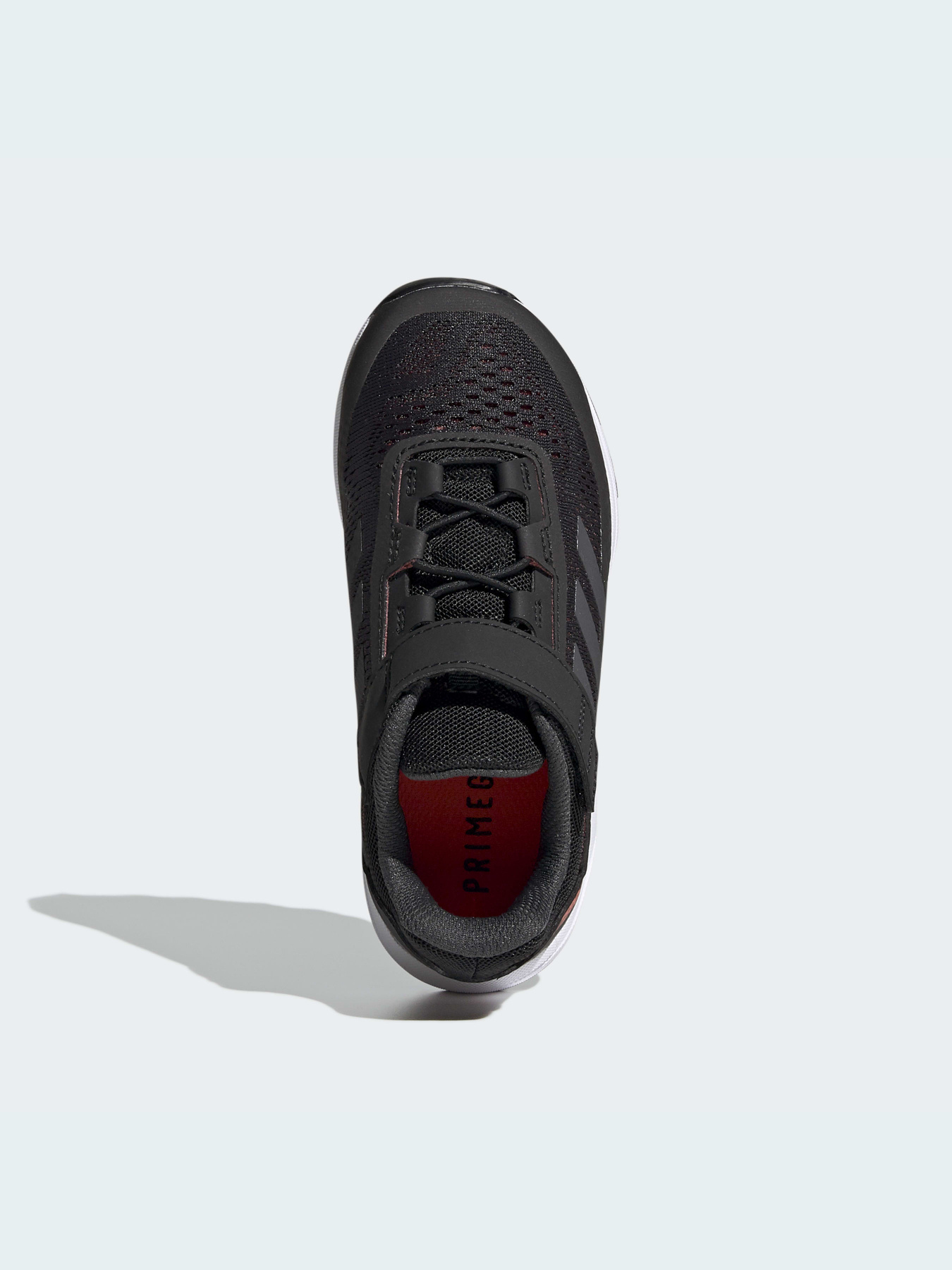 Кроссовки Adidas модель FZ3319 Кроссовки Adidas модель FZ3319 Фото