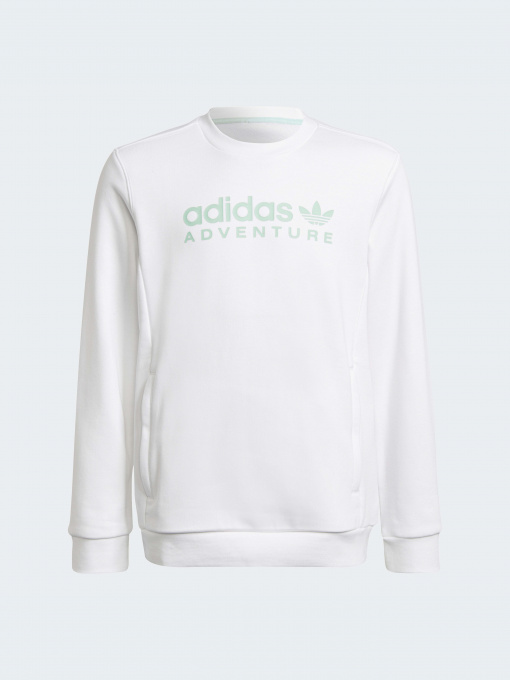 Худі та світшоти Adidas модель HE2063 Фото