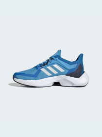 Кросівки Adidas Alphatorsion модель GY0596 Фото