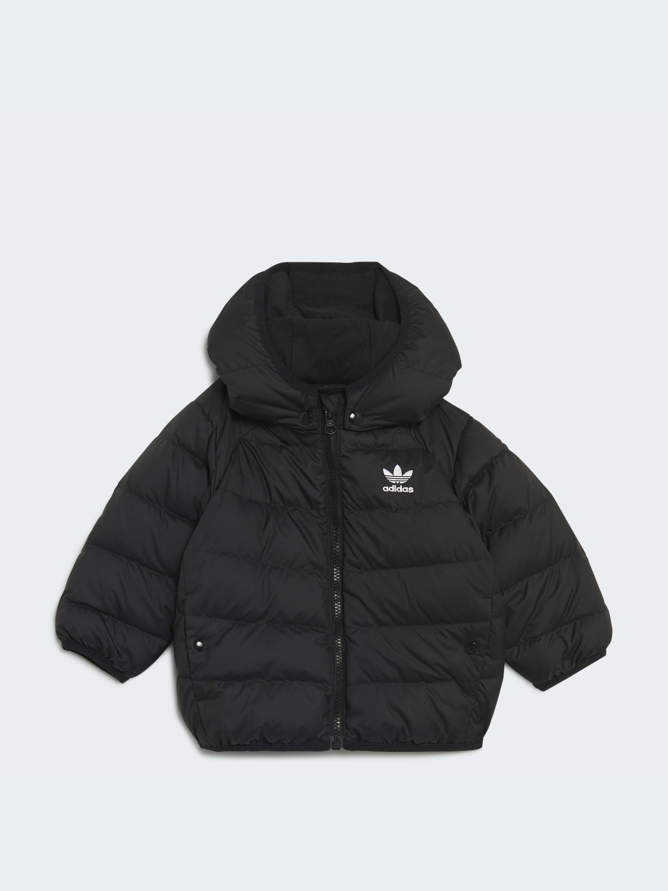 Куртки и дубленки Adidas модель H25221 Фото