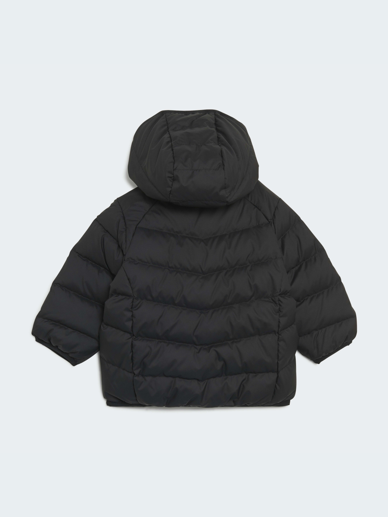 Куртки и дубленки Adidas модель H25221 Фото