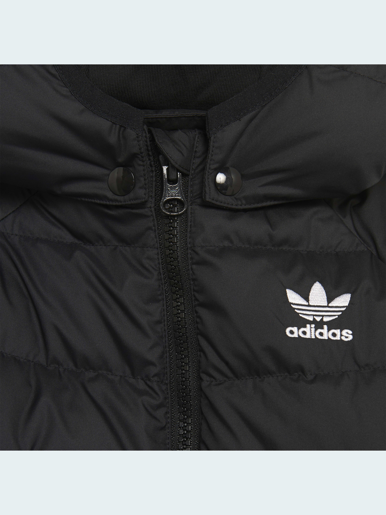 Куртки и дубленки Adidas модель H25221 Фото