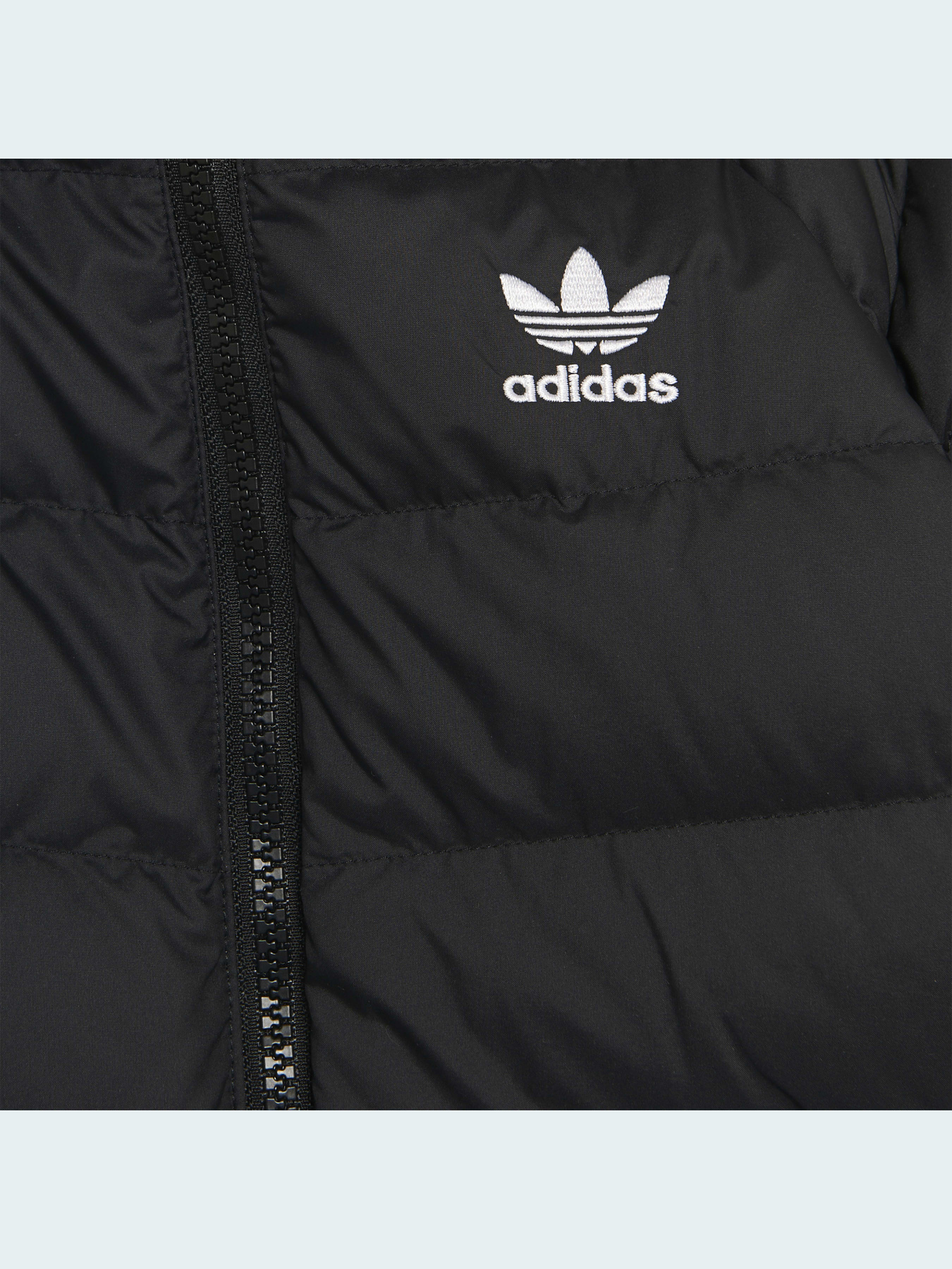 Куртки и дубленки Adidas модель H25221 Фото