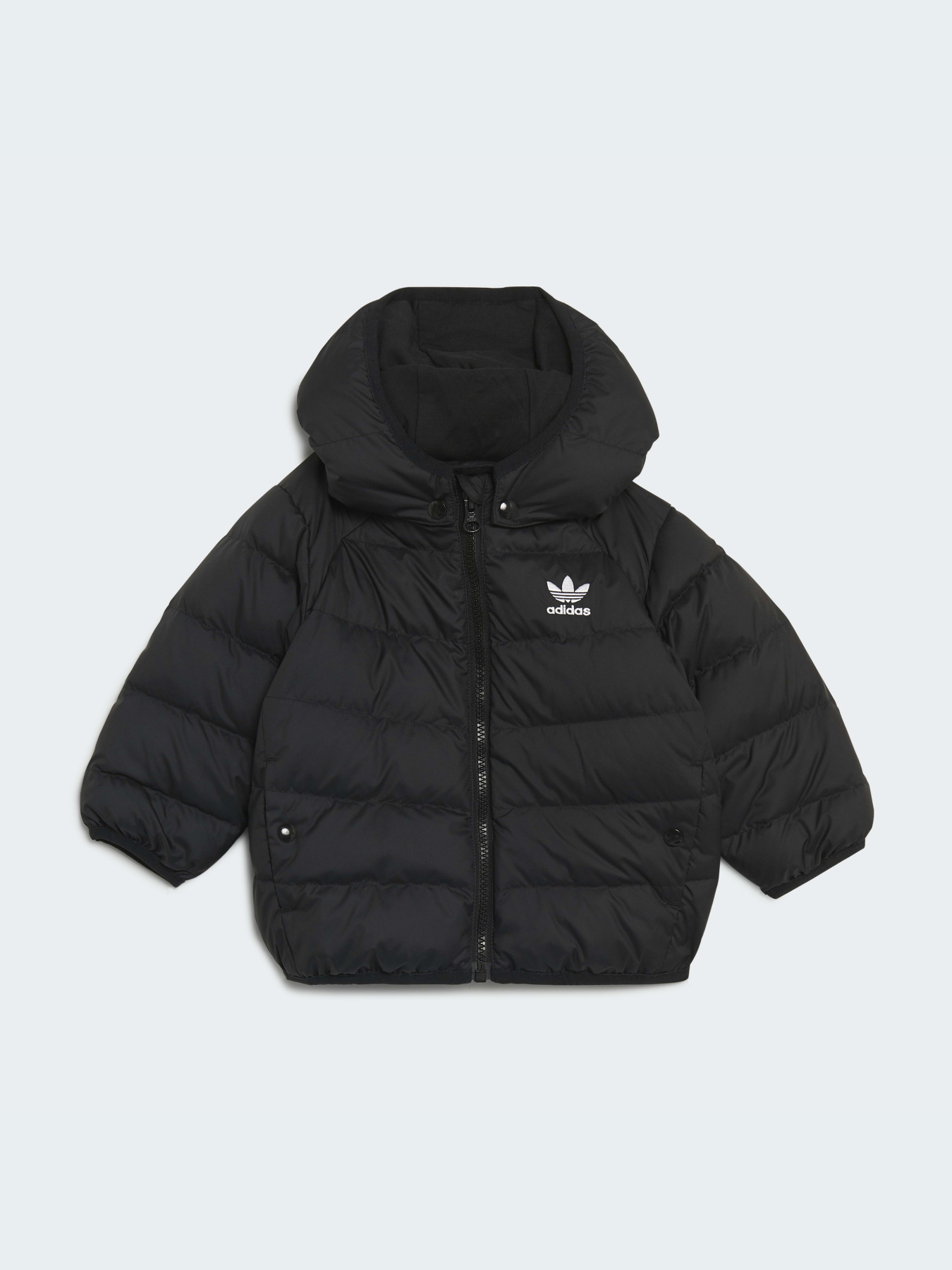 Куртки и дубленки Adidas модель H25221 Фото