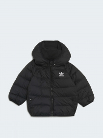 Куртки и дубленки Adidas модель H25221 Фото